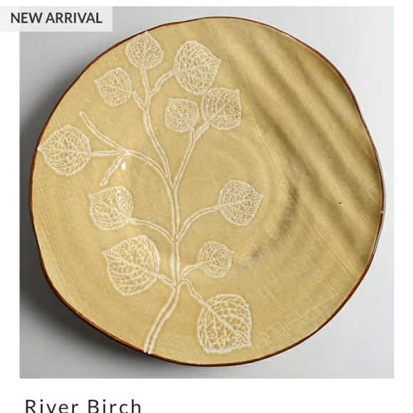 Cabela's  River Birch Stoneware 10" Soup Bowl 🍜 - Picture 5 of 16